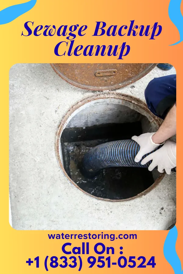 Sewage Backup Cleanup in Parsons, TN