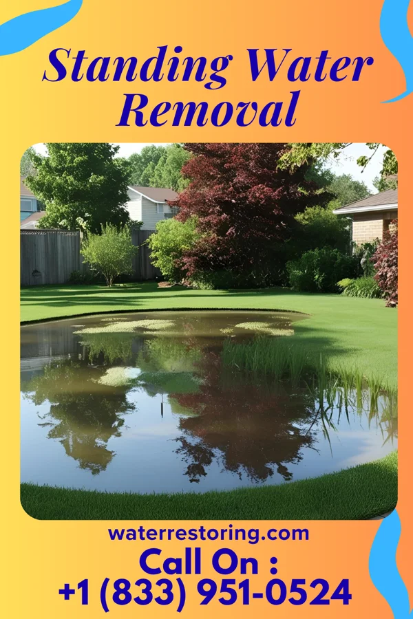 Standing Water Removal in Parsons, TN